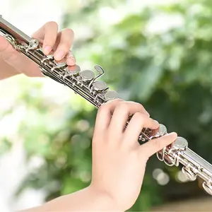 16 Holes Closed Hole Flute C Key Flute Woodwind Instrument with Cleaning Cloth Rod Gloves Screwdriver 16 Holes flute C Key Flute Bangladesh (New)